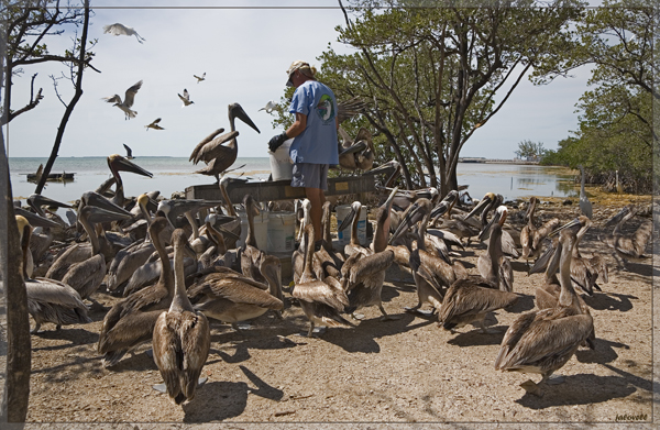 Entrance of the Wild Bird Center