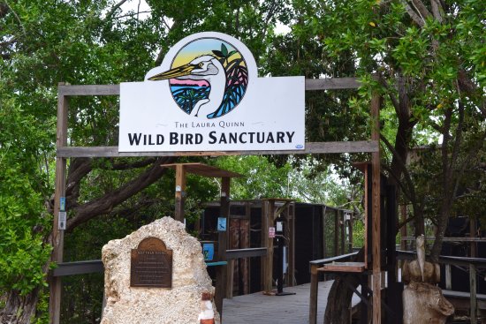 Entrance of the Wild Bird Center